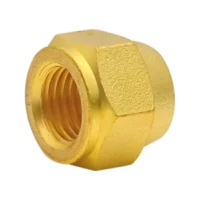 Flare-Cap-Nut-300x300 Flare-Cap-Nut-300x300
